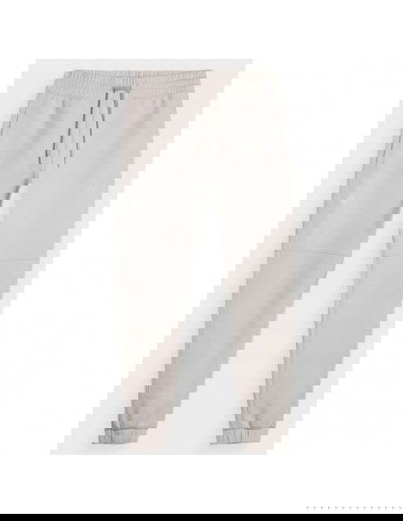 Trousers 4F M 4FSS23TTROM137BEIGE