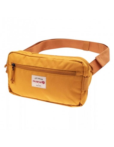 Iguana Τσαντάκι Μέσης Κίτρινο 92800498698