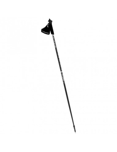 Nordic Walking Viking Lite Pro poles 110 cm 65021456308110