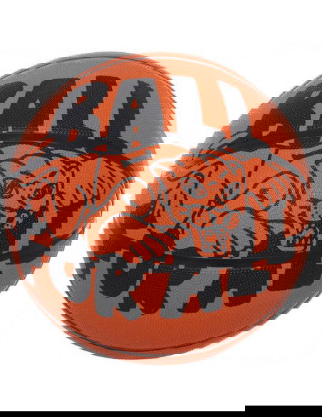 Basketball Nike Playground Outdoor 100 4371 811 06