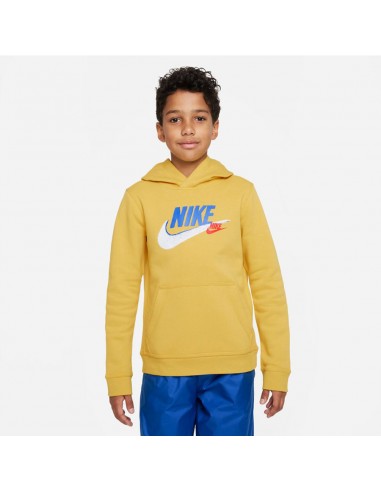 Sweatshirt Nike Sportswear SI Fleece PO Hoody FD1197 709