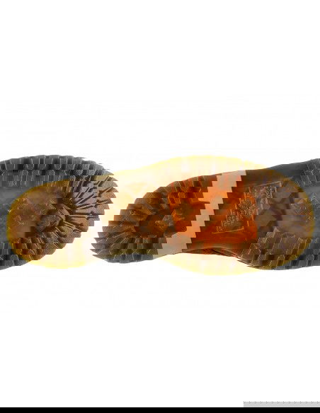 Dr. Martens Pascal 1460 Δερμάτινα Γυναικεία Αρβυλάκια Μαύρα 26981001