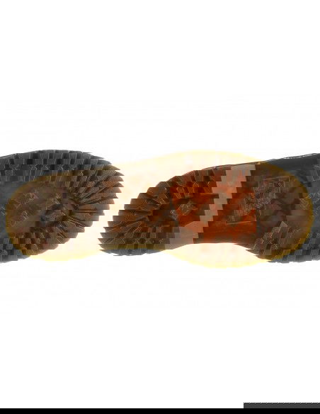 Dr Martens 1460 Pascal Bex DM26981220