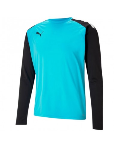 Goalkeeper jersey Puma teamPACER GK LS M 704933 40