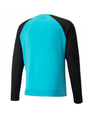 Goalkeeper jersey Puma teamPACER GK LS M 704933 40