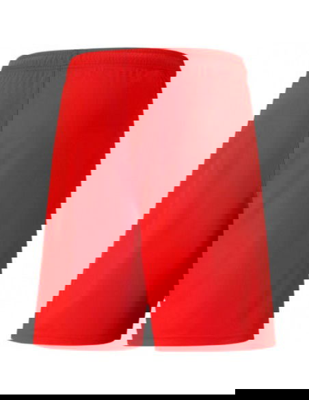 Puma team shortsLIGA M 704924 01