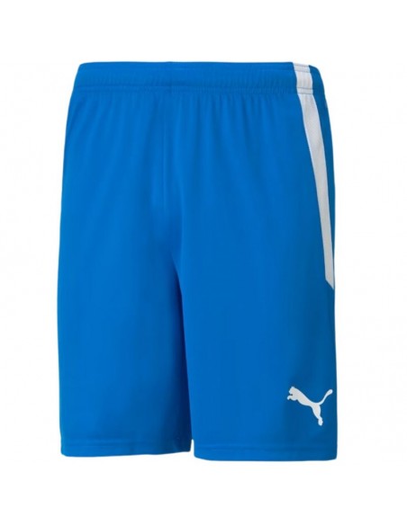 Puma Team Goal 23 704262-02 Ανδρικό Σορτς Εμφάνισης Ποδοσφαίρου