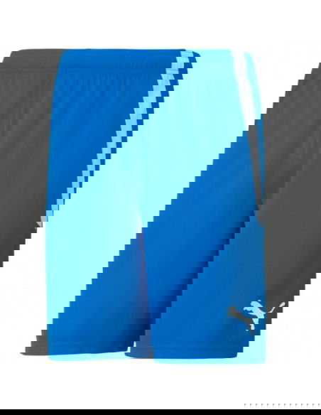 Puma Team Goal 23 704262-02 Ανδρικό Σορτς Εμφάνισης Ποδοσφαίρου