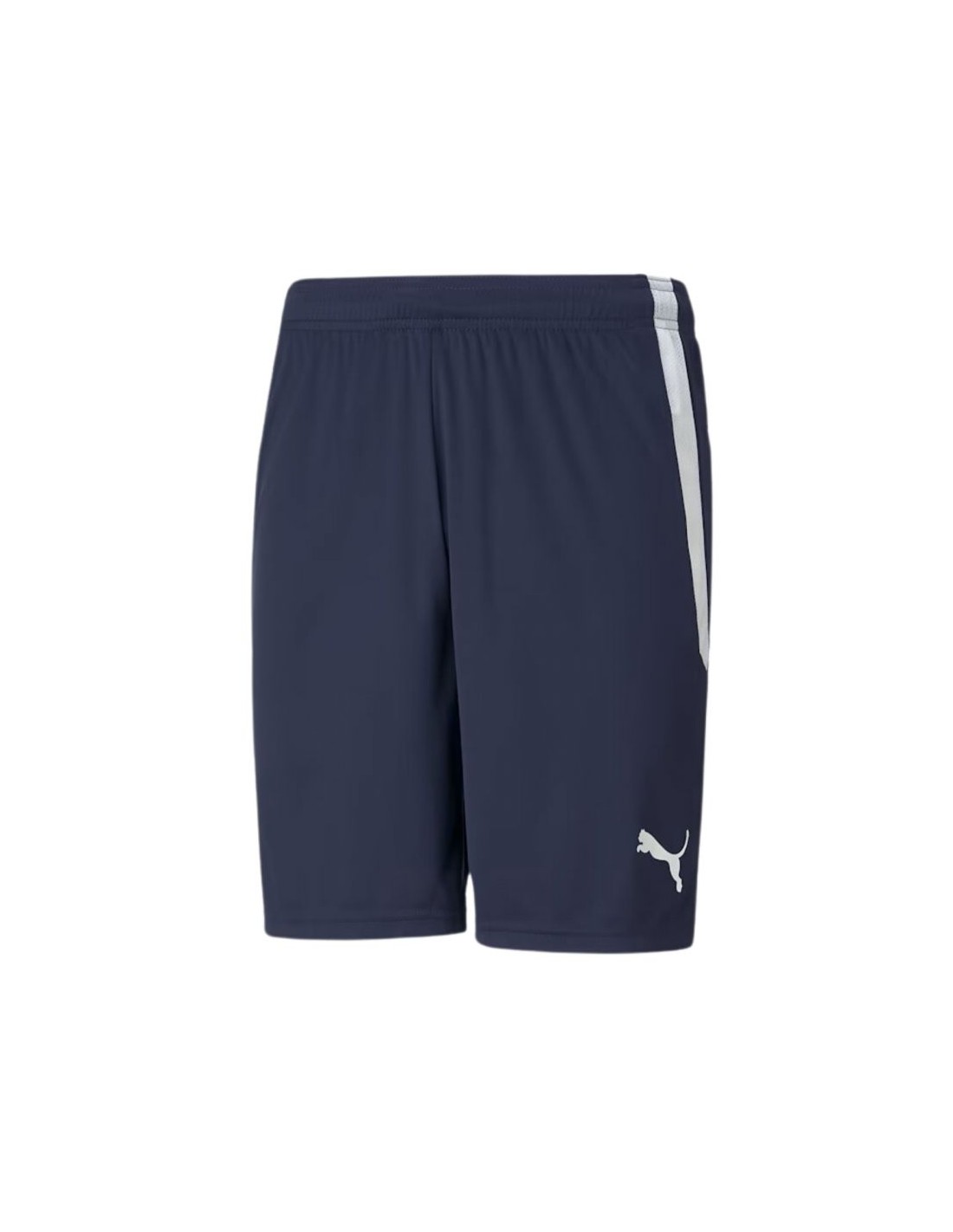 Puma Ανδρική Βερμούδα Navy Μπλε 704924-06