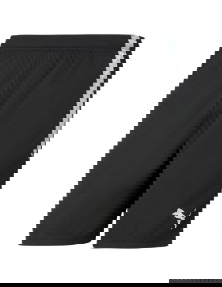 Puma teamLiga M 704924 03 shorts