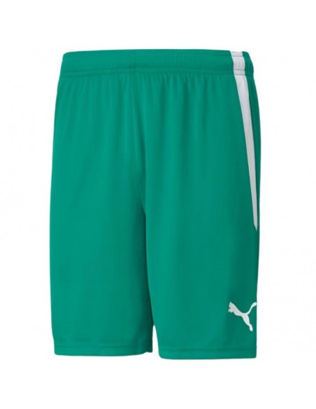 Puma Ανδρική Βερμούδα Πράσινη 704924-05