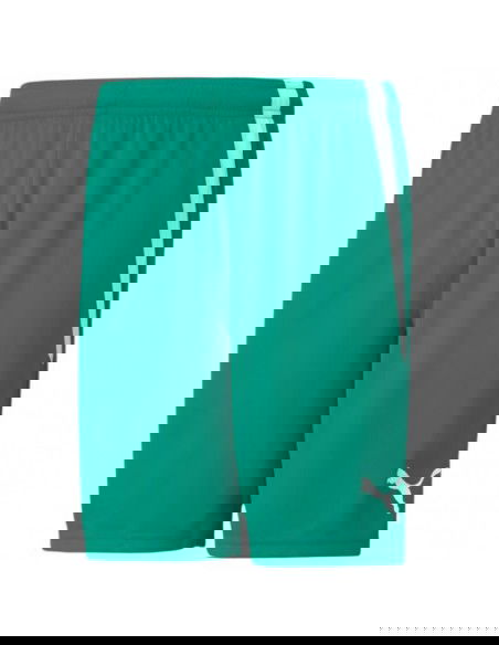 Puma Ανδρική Βερμούδα Πράσινη 704924-05