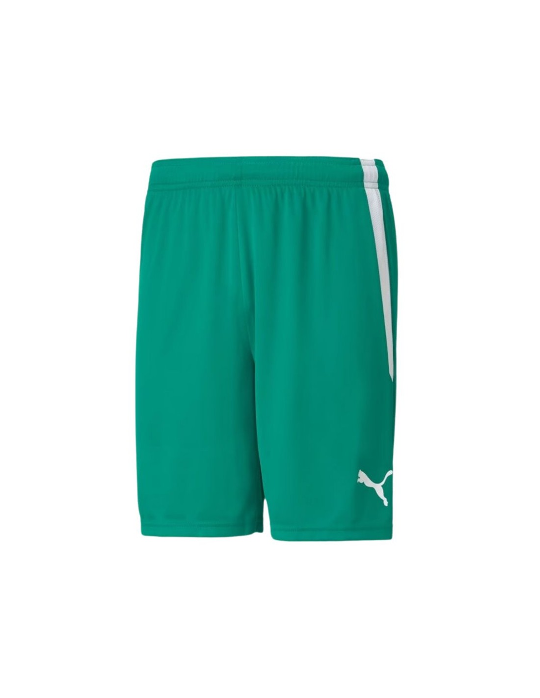 Puma Ανδρική Βερμούδα Πράσινη 704924-05