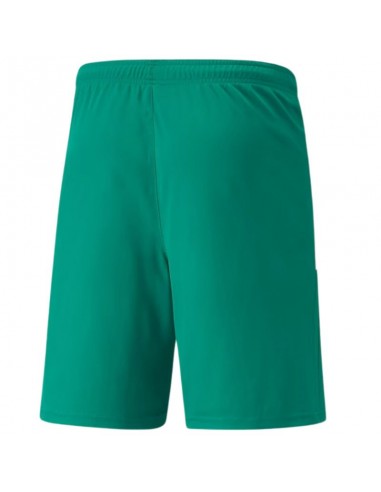 Puma Ανδρική Βερμούδα Πράσινη 704924-05