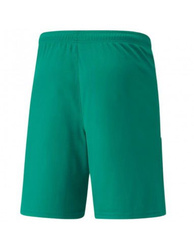Puma teamLiga M 704924 05 shorts