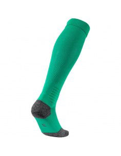 Puma Team Liga football tights 703438 05 2