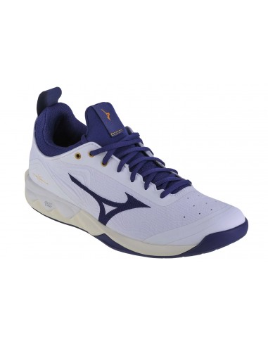 Αθλήματα > Βόλεϊ > Παπούτσια Mizuno Wave Luminous 2 V1GA212043