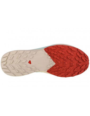 Salomon Sense Ride 5 472117