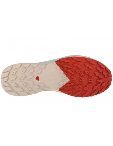 Salomon Sense Ride 5 L47211700 Αθλητικά Παπούτσια Trail Running Λευκά