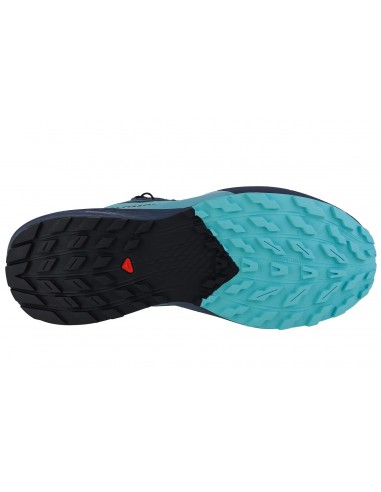 Salomon Sense Ride 5 GTX L47147400 Γυναικεία Αθλητικά Παπούτσια Trail Running Μπλε Αδιάβροχα με Μεμβράνη Gore-Tex