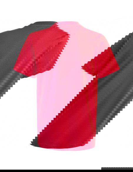 Tshirt adidas Big Logo Tee Jr IJ6262