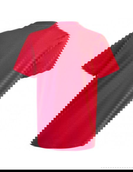 Tshirt adidas Big Logo Tee Jr IJ6262