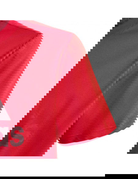 Adidas Big Logo Tee Jr Παιδικό T-shirt IJ6262