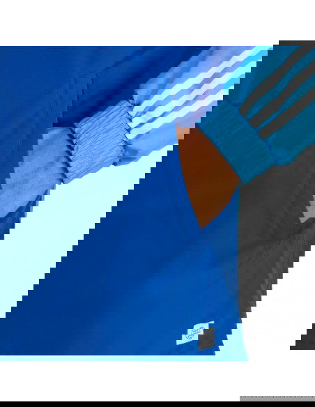 Adidas Ανδρικό Χειμωνιάτικο Μπουφάν Αδιάβροχο Μπλε IC4572