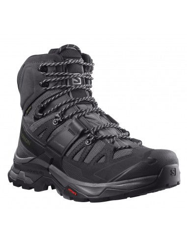 Salomon Quest 4 GTX L41292600 Ανδρικά Ορειβατικά Μποτάκια Αδιάβροχα με Μεμβράνη Gore-Tex Magnet / Black / Quarry