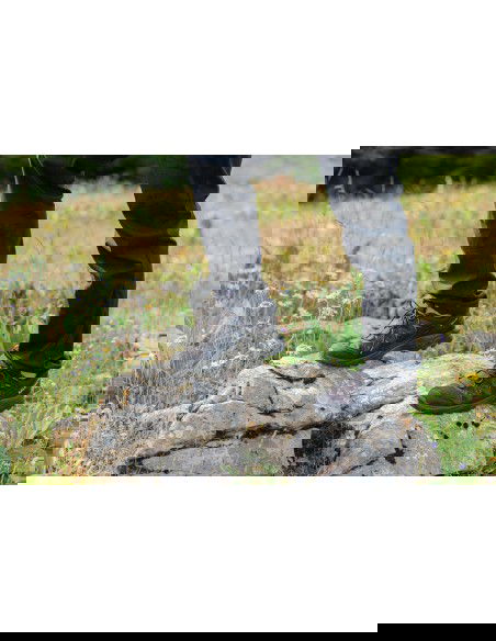 Salomon X Braze GTX 471804 Μαύρο