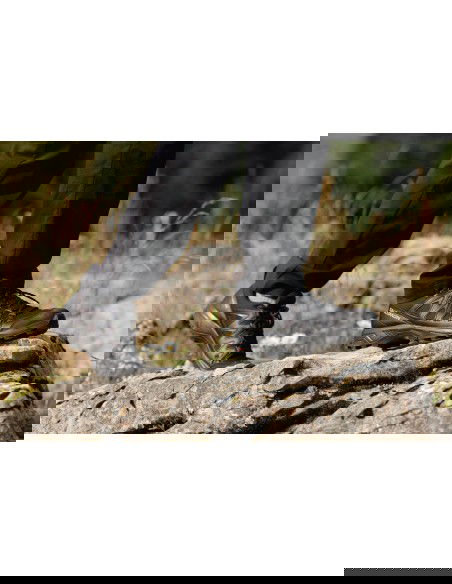 Salomon X Braze GTX L47180400 Ανδρικά Ορειβατικά Παπούτσια Αδιάβροχα με Μεμβράνη Gore-Tex Μαύρα