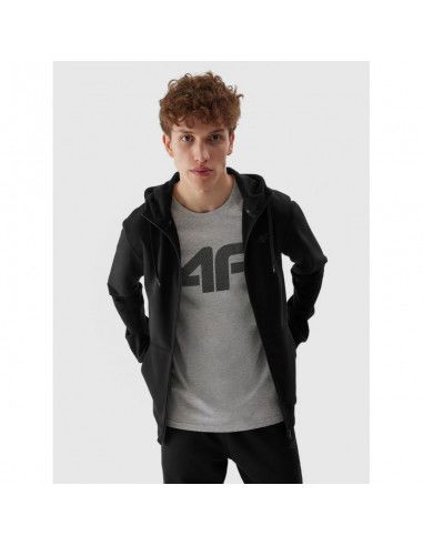 Sweatshirt 4F M695 M 4FAW23TSWSM695 20S