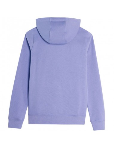 4F Γυναικείο Φούτερ Μπλε 4FAW23TSWSF0730-32S