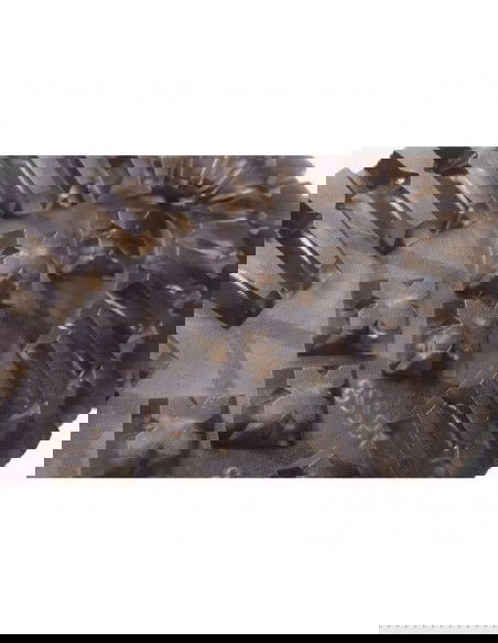 Big Star Γυναικεία Αρβυλάκια Μαύρα KK274537