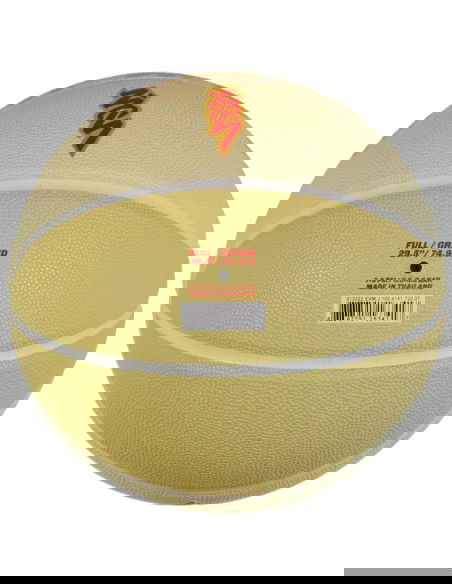 Jordan All Court Zion Ball J1004141720