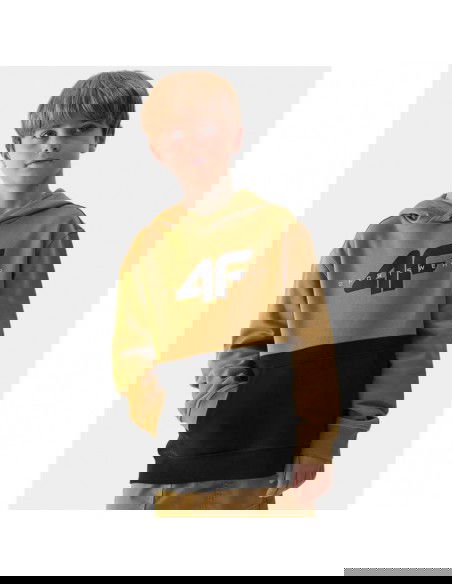 4F Jr sweatshirt 4FJAW23TSWSM62874S