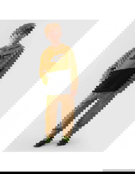 4F Jr sweatshirt 4FJAW23TSWSM62874S