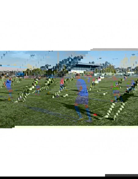 Yakima Sport 100701 hole bollard