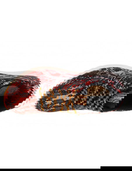 ASICS Fuji Lite 3 1012B294-700 Γυναικεία Αθλητικά Παπούτσια Trail Running Πολύχρωμα