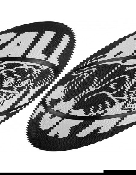 Nike Everyday Playground 8P Graphic Ball N1004371039