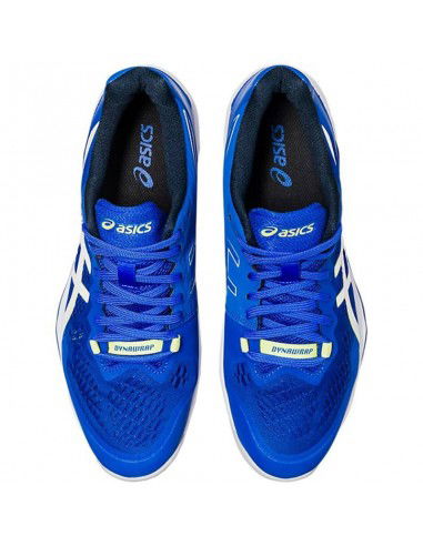 Asics Sky Elite FF 2 M 1051A064404 shoes