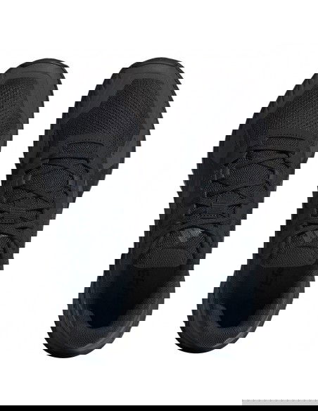 Adidas Terrex Soulstride IE9413 shoes