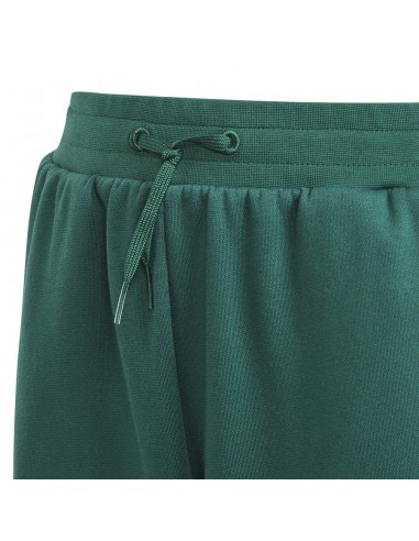 Adidas Παιδικό Παντελόνι Φόρμας Πράσινο IA1553