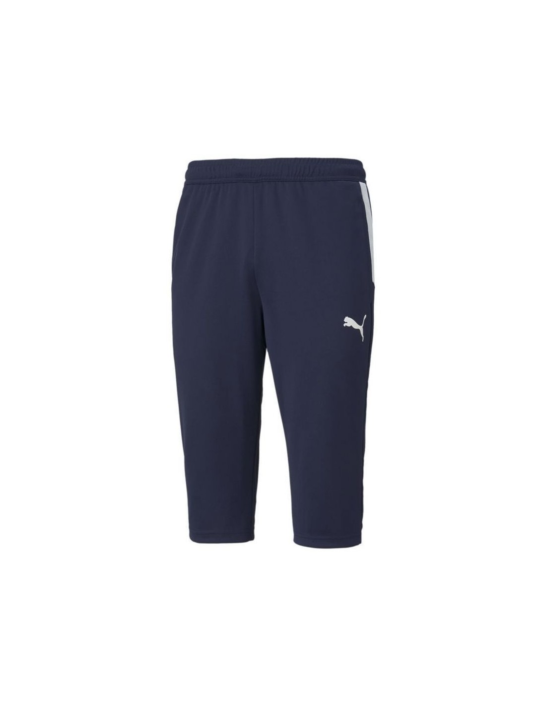 Puma teamLiga Training 34 Pants M 657271 06