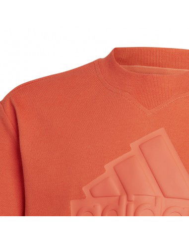 Tshirt adidas FI Logo Tee Jr HR6296