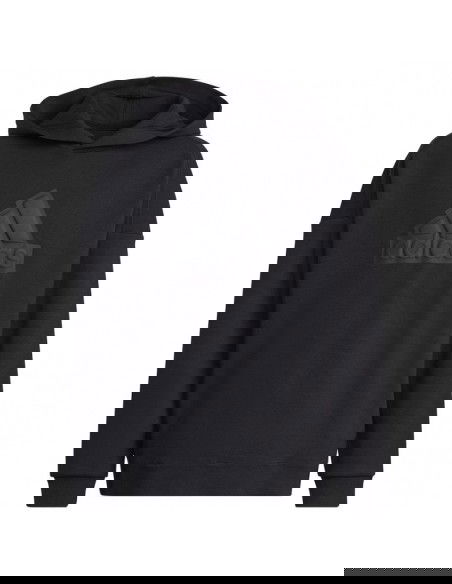 Sweatshirt adidas FI Logo HD Jr HR6301