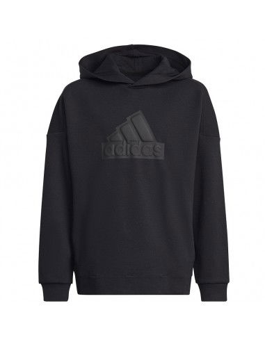Sweatshirt adidas FI Logo HD Jr HR6301