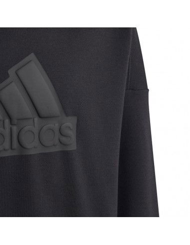 Sweatshirt adidas FI Logo HD Jr HR6301