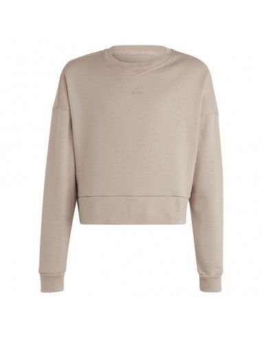 Tracksuit adidas FI Logo TS girls Jr IC0101