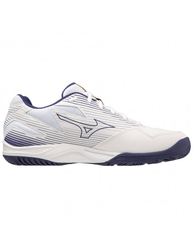 Mizuno Cyclone Speed 4 V1GA238043 Γυναικεία Αθλητικά Παπούτσια Handball Λευκά